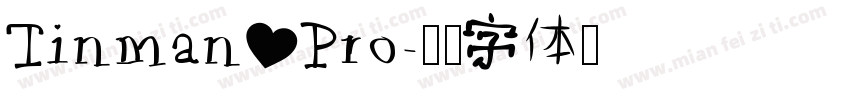 Tinman Pro字体转换
